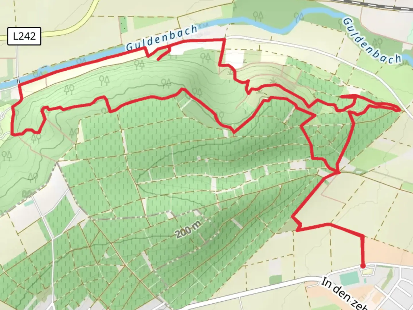 An image depicting the trail Felseneremitage Loop and its surrounding area.