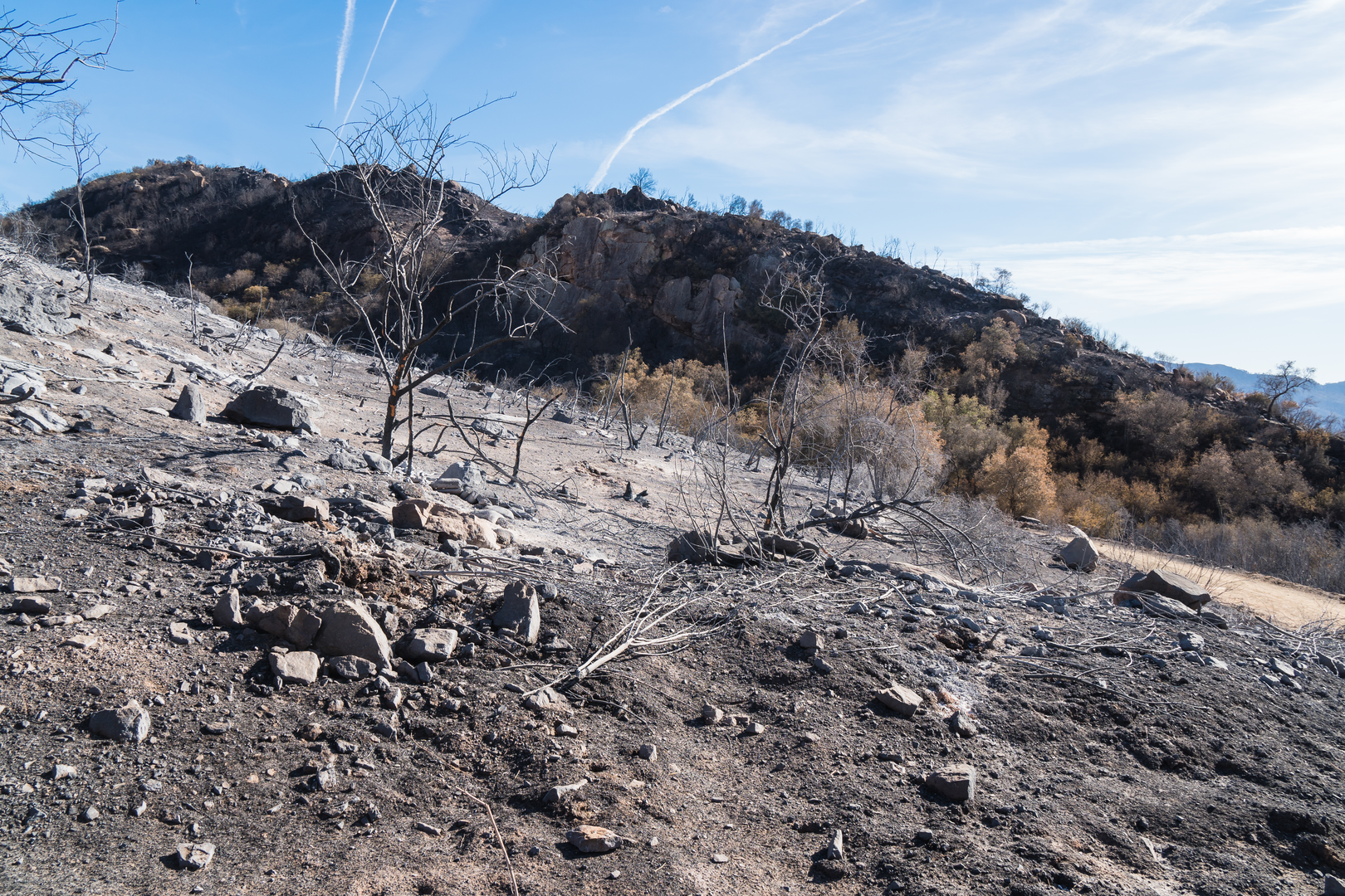An image depicting the trail Pratt Trail and its surrounding area.