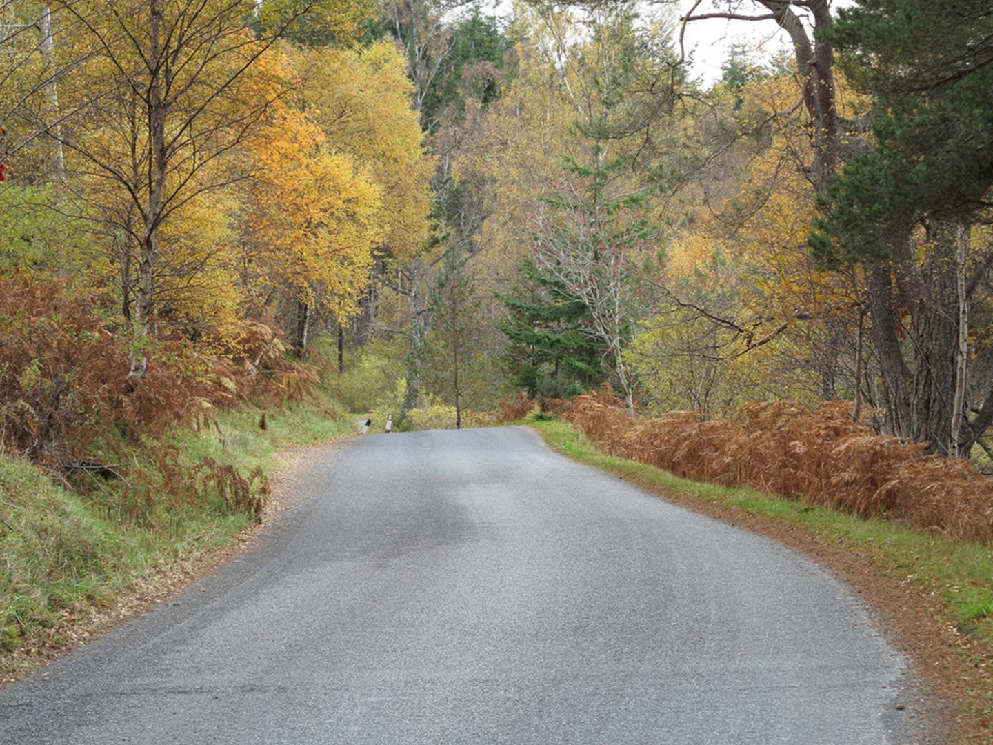 An image depicting the trail Kilvrecht Trail and its surrounding area.