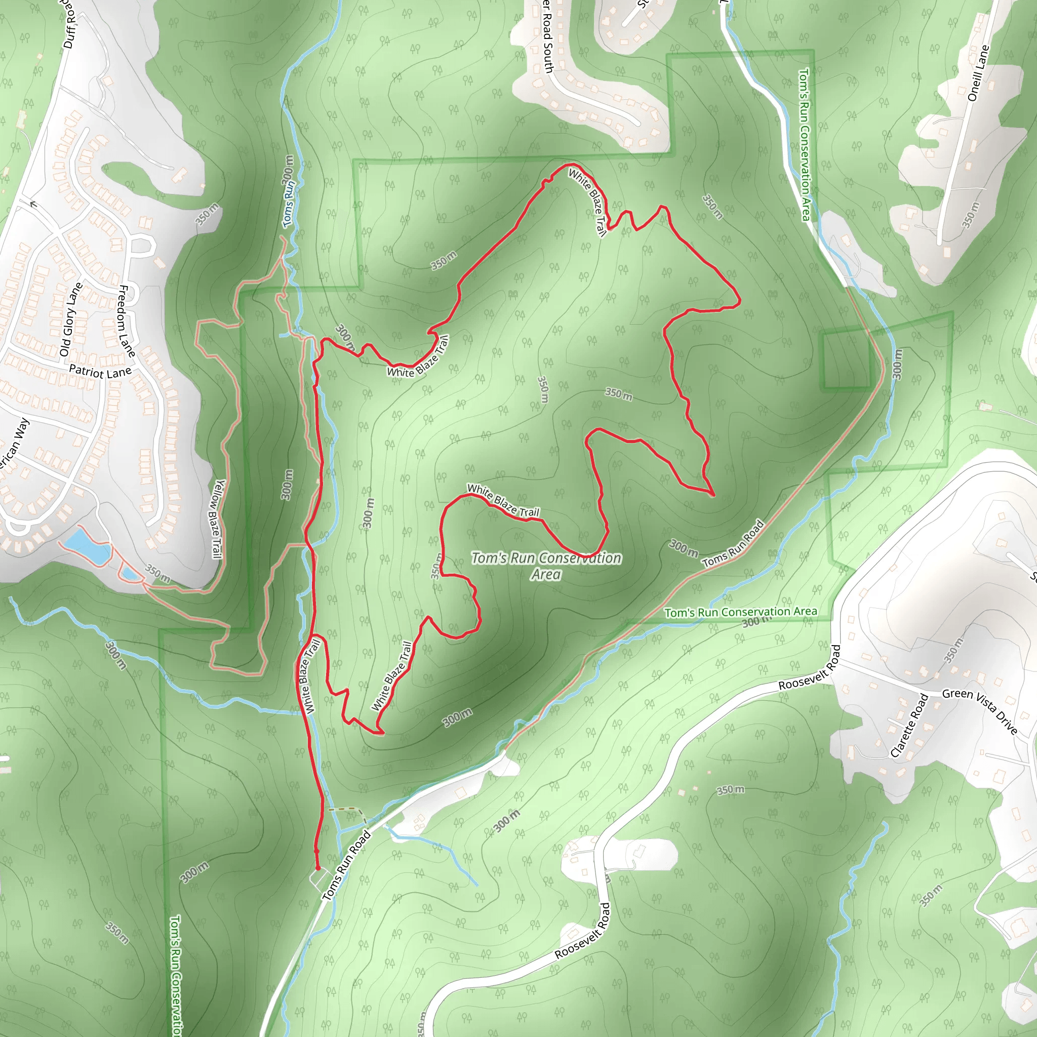 White Blaze Loop Trail - Tom's Run Conservation Area mobile static map