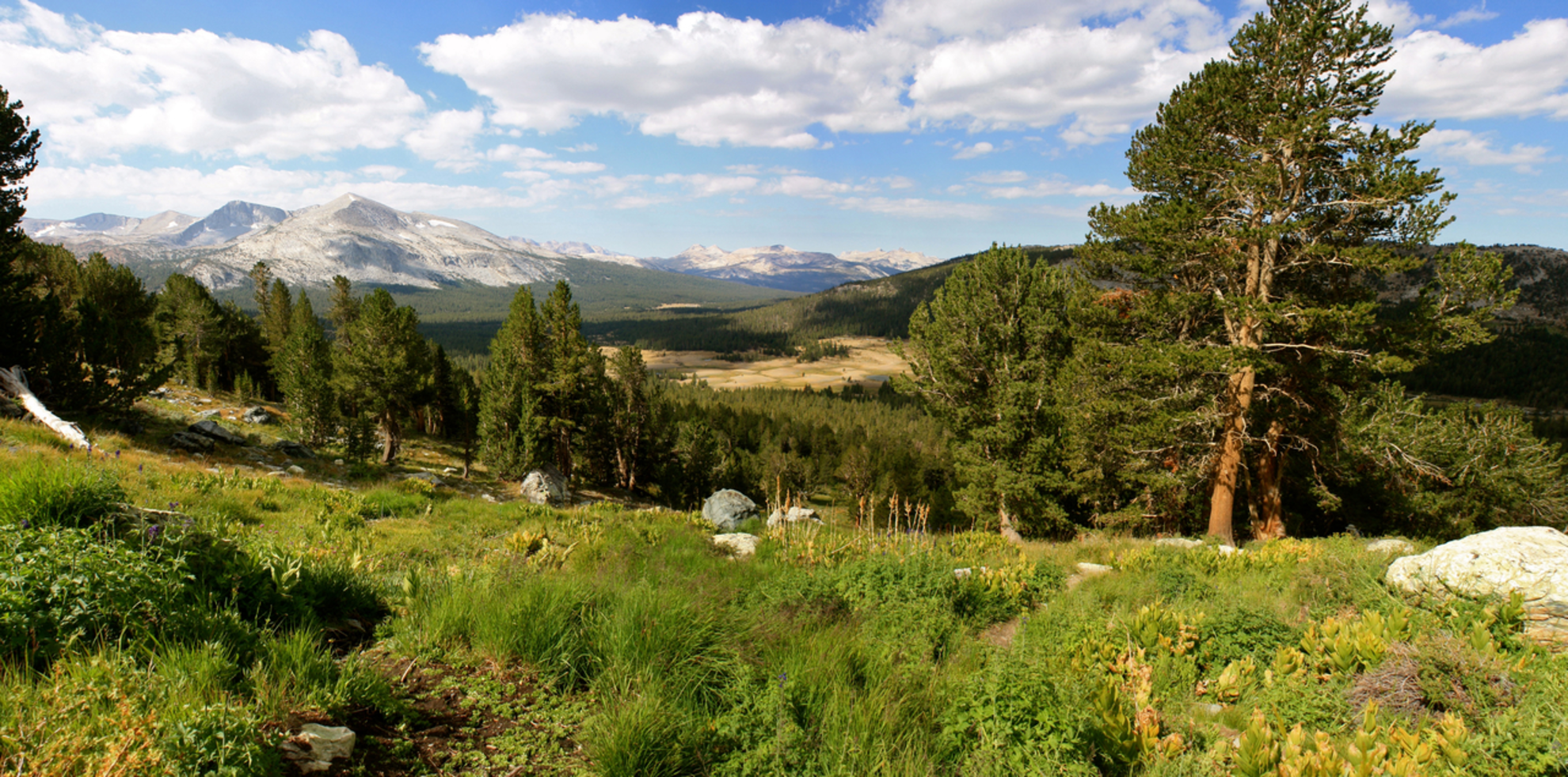 An image depicting the trail Lower Hopkins Lake via Mono Creek Trail and its surrounding area.
