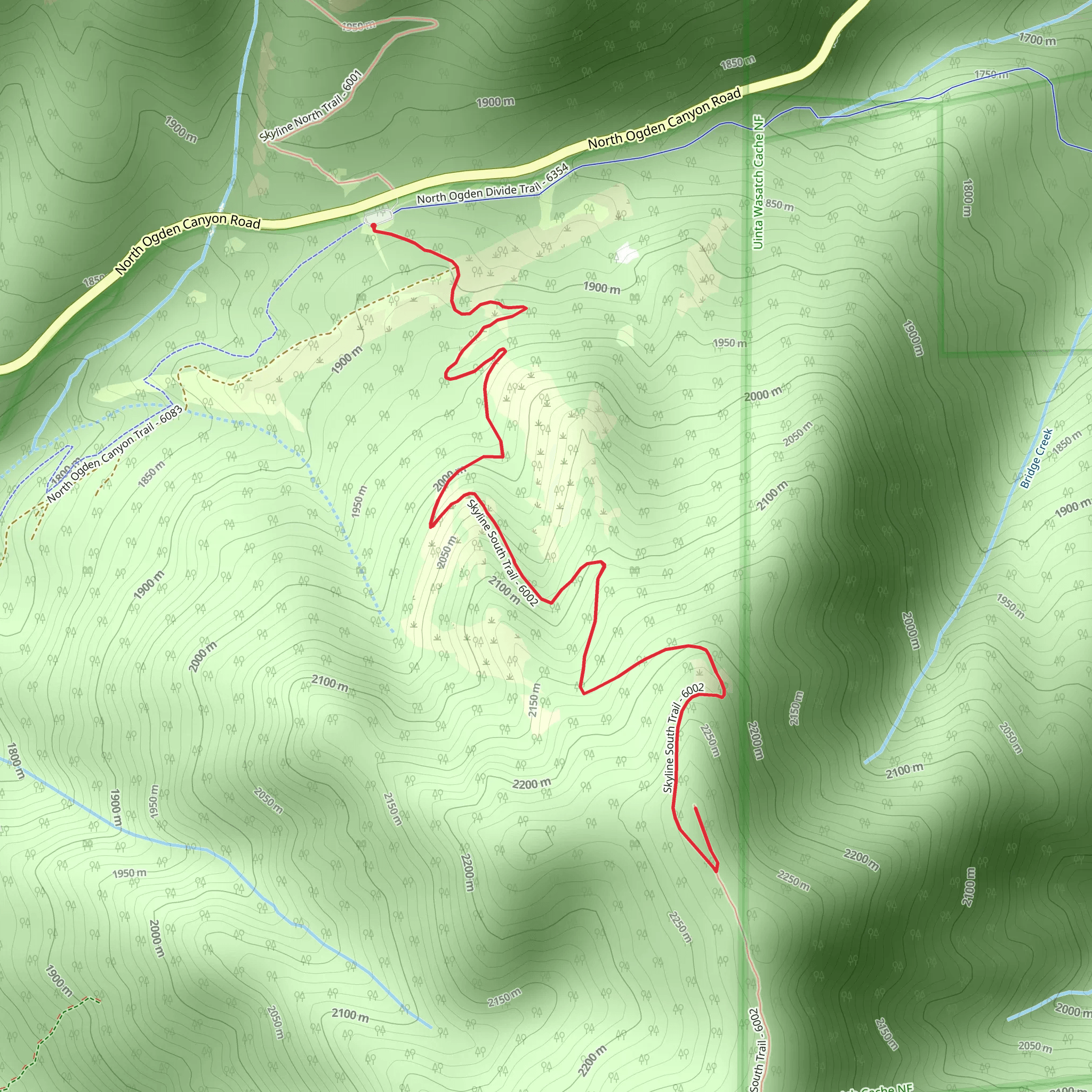 Skyline South Trail Out and Back mobile static map