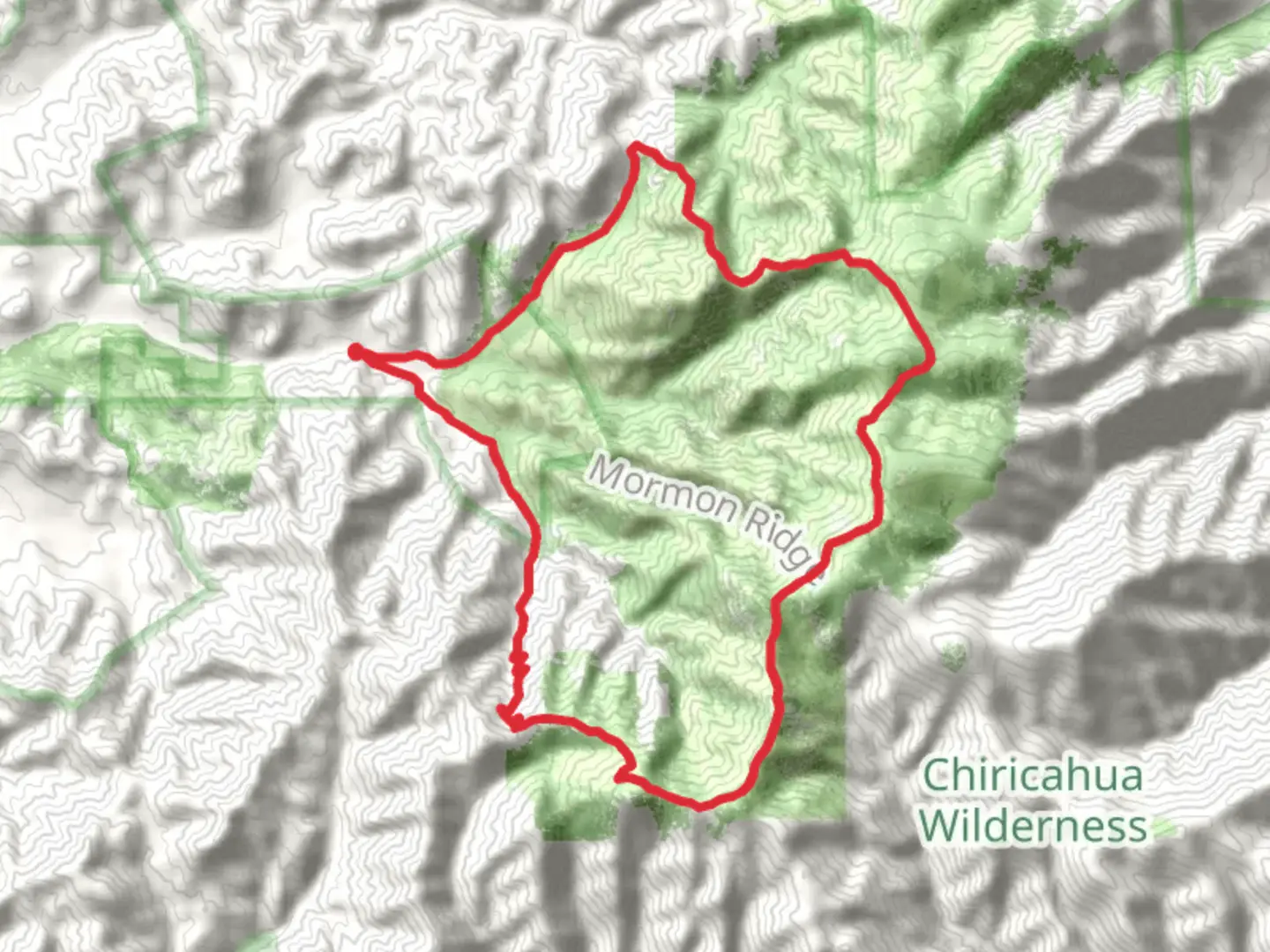 An image depicting the trail Saulsbury Saddle, Sky Islands Traverse, Chiricahua Saddle and Turtle Mountain Trail Loop and its surrounding area.