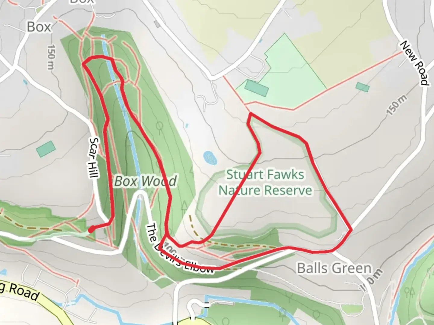 An image depicting the trail Box Wood Loop and its surrounding area.
