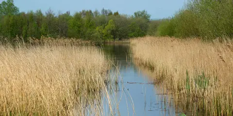 An image depicting the trail Mendip Ring and its surrounding area.
