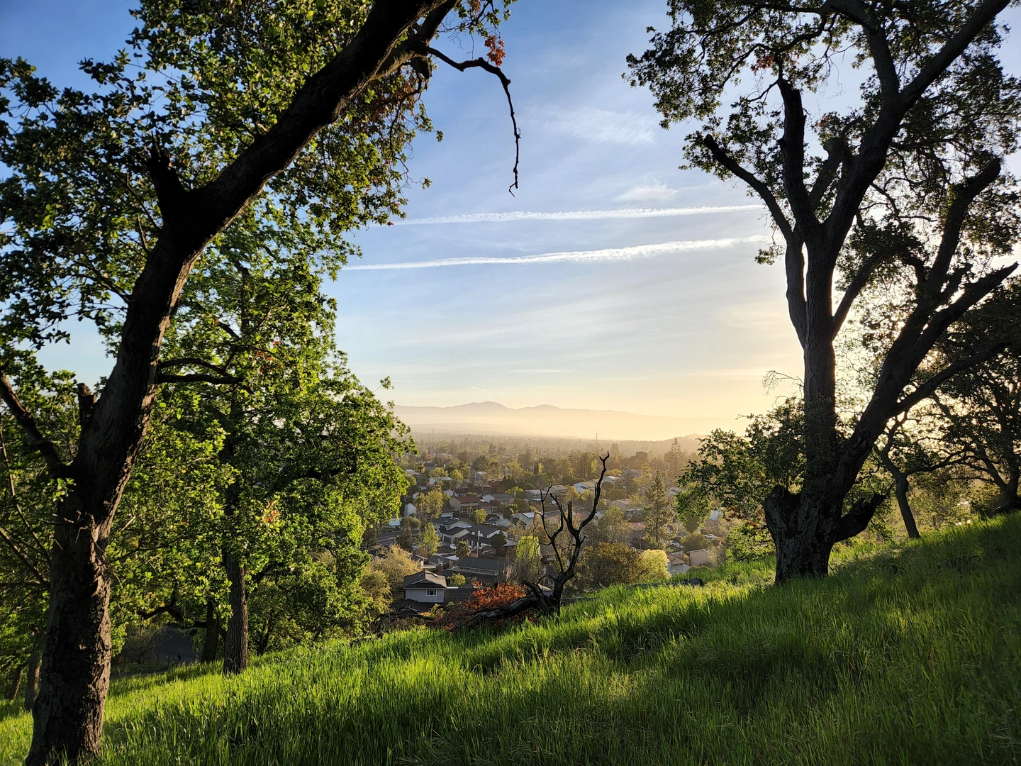 An image depicting the trail Ridge and Santa Rosa Loop Trail - Belgatos Park and its surrounding area.