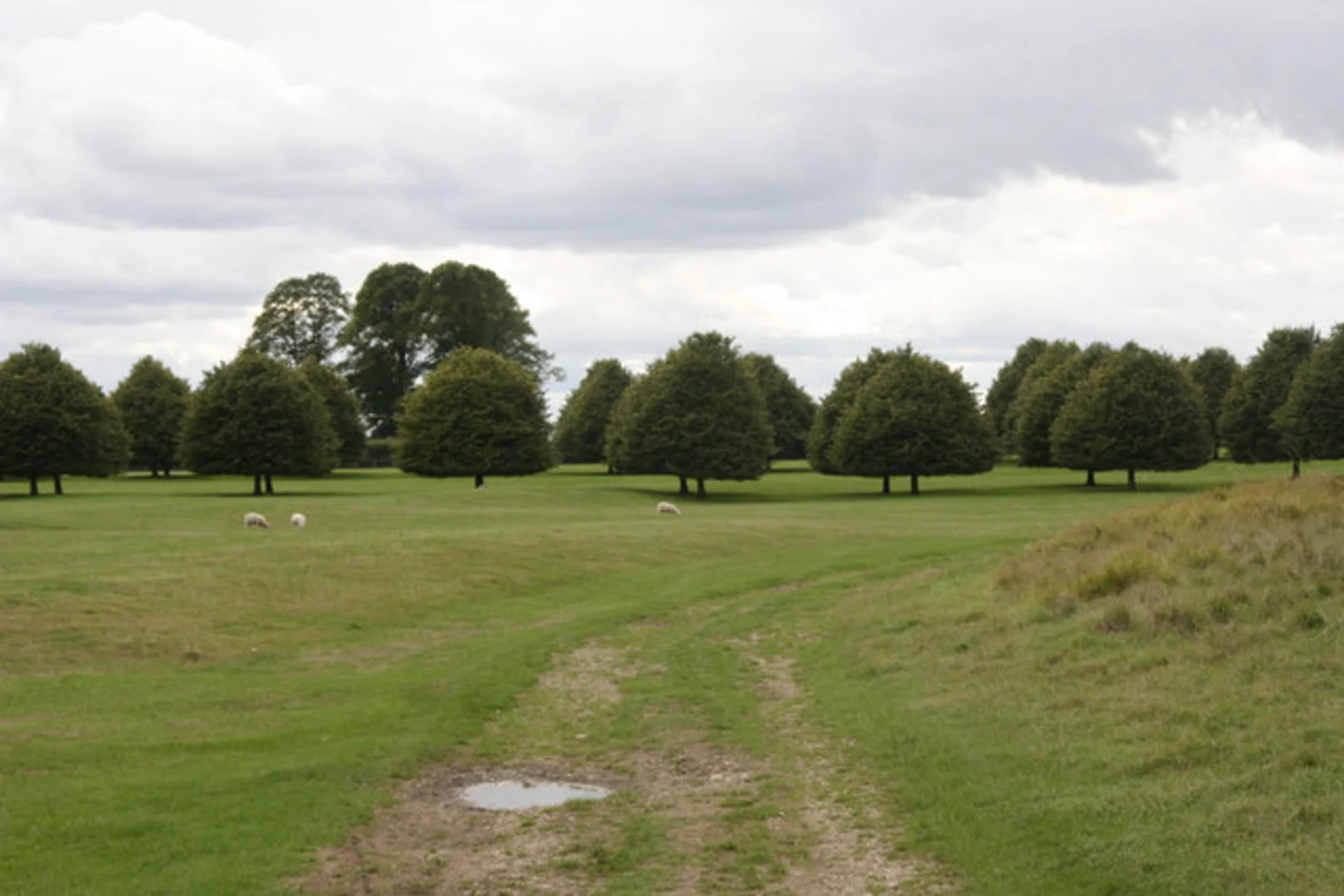 An image depicting the trail Blenhein Park Loop and its surrounding area.