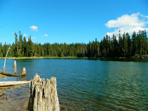 An image depicting the trail Horseshoe Lake, Windrush Lake and River Churn Loop and its surrounding area.