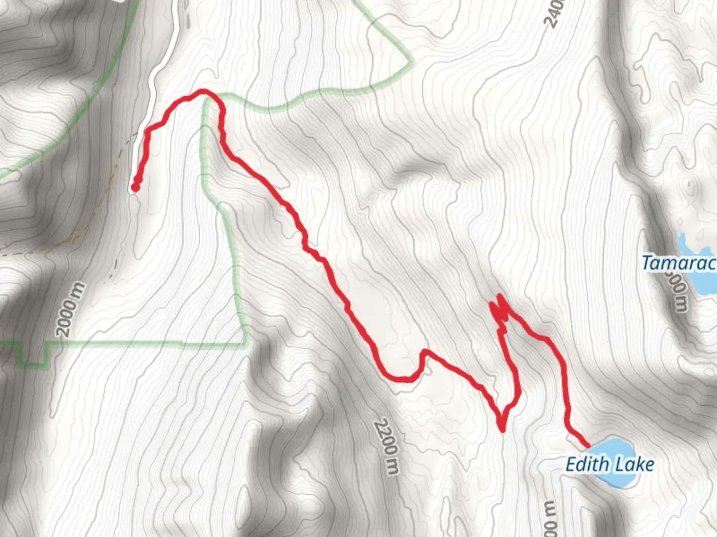 An image depicting the trail Edith Lake Out and Back and its surrounding area.
