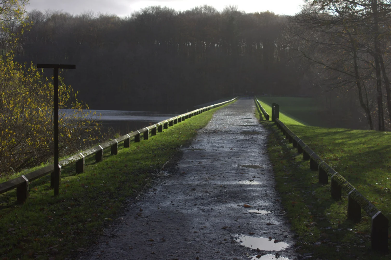An image depicting the trail Roddlesworth Reservoir Loop and its surrounding area.