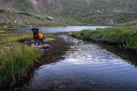 An image depicting the trail South Park Trail and its surrounding area.
