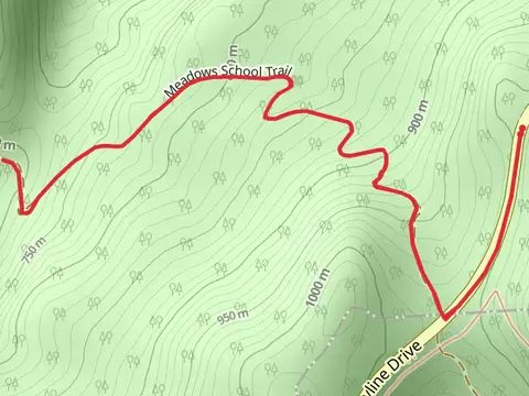 Meadows School Trail