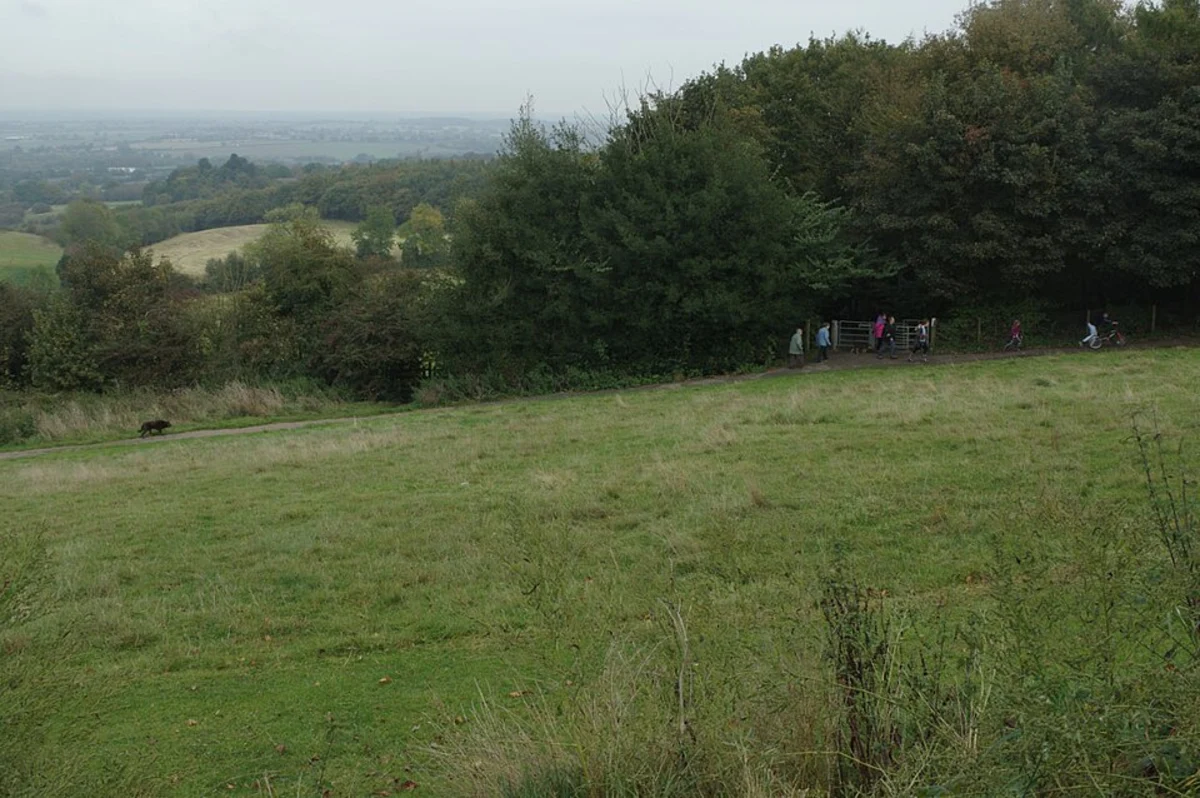 Hartshill Hayes Country Park Loop from Marston Jabbett