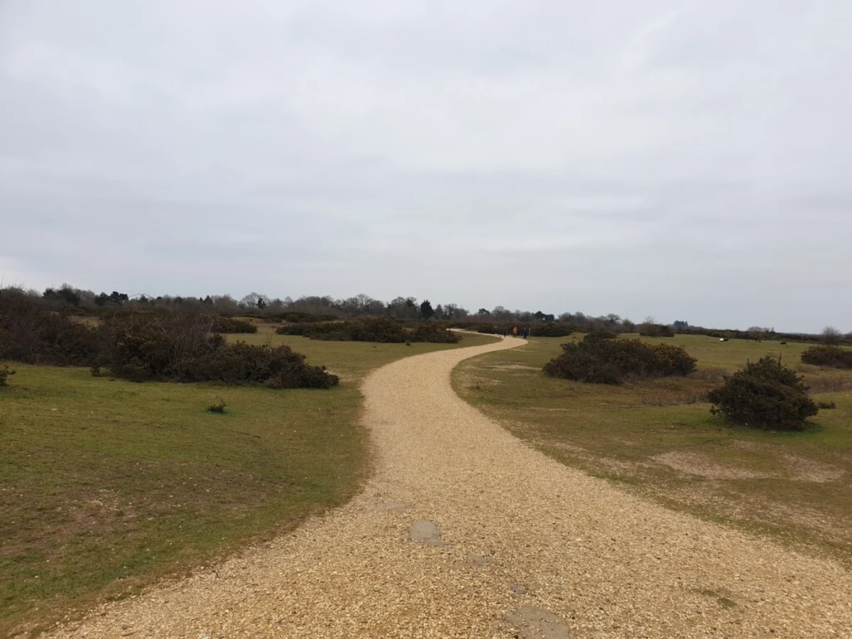 Greenham Common from Pipers Lane