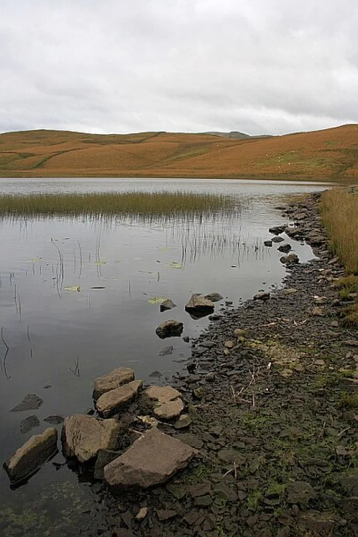 An image depicting the trail H P Plantation, Birk Rigg and Skeggles Water and its surrounding area.