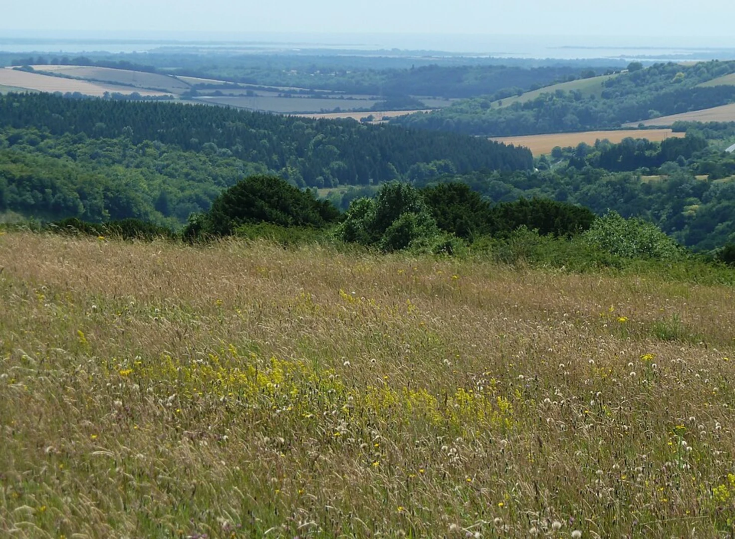 An image depicting the trail Butser Hill and Oxenbourne Lythe Loop and its surrounding area.