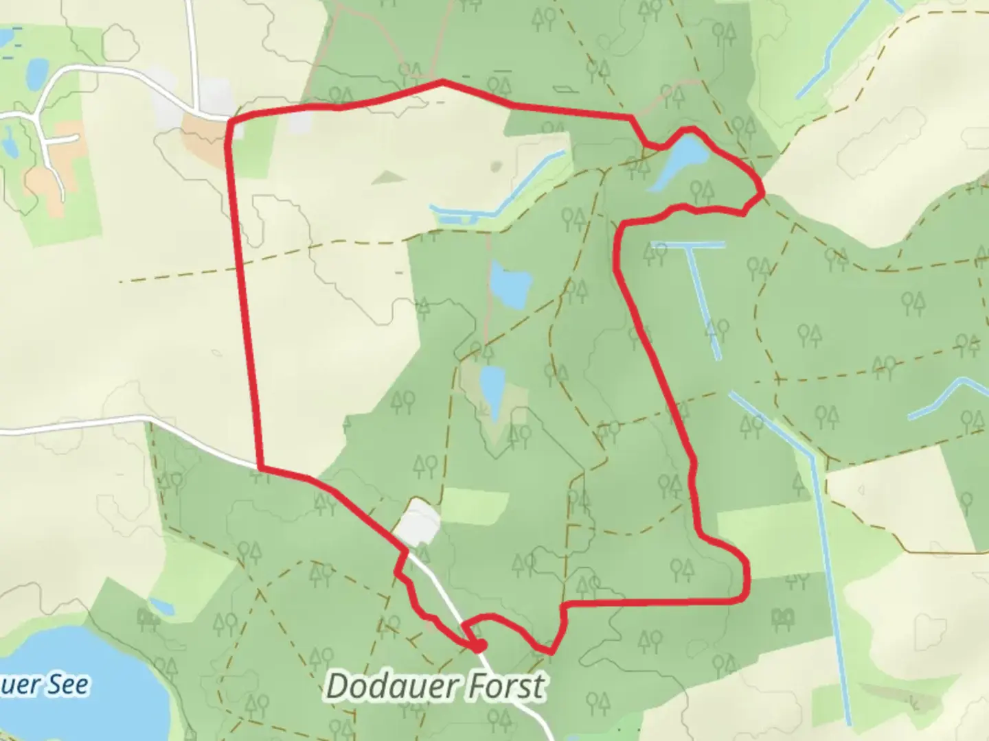 An image depicting the trail Dodauer Forst Route Kurz and Braeutigamseiche Loop and its surrounding area.