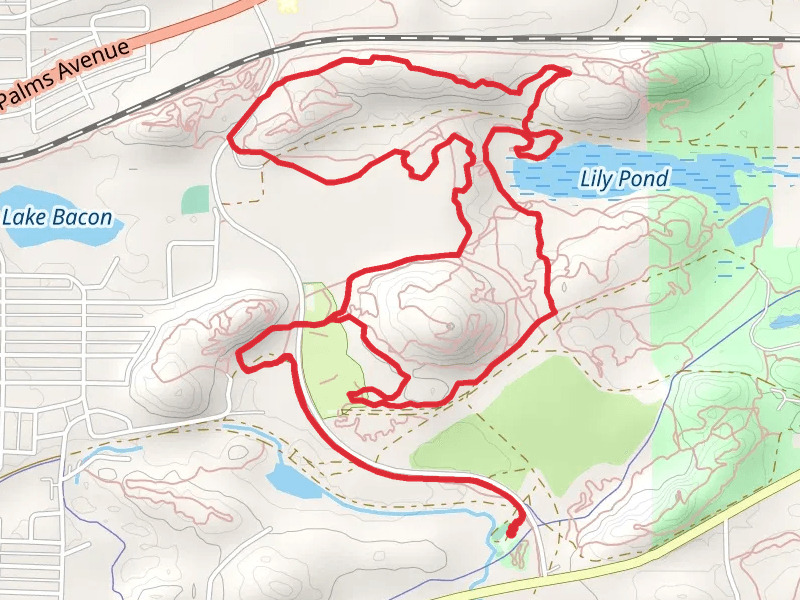Lily Pond via Dead Deer and Coyote Den Loop