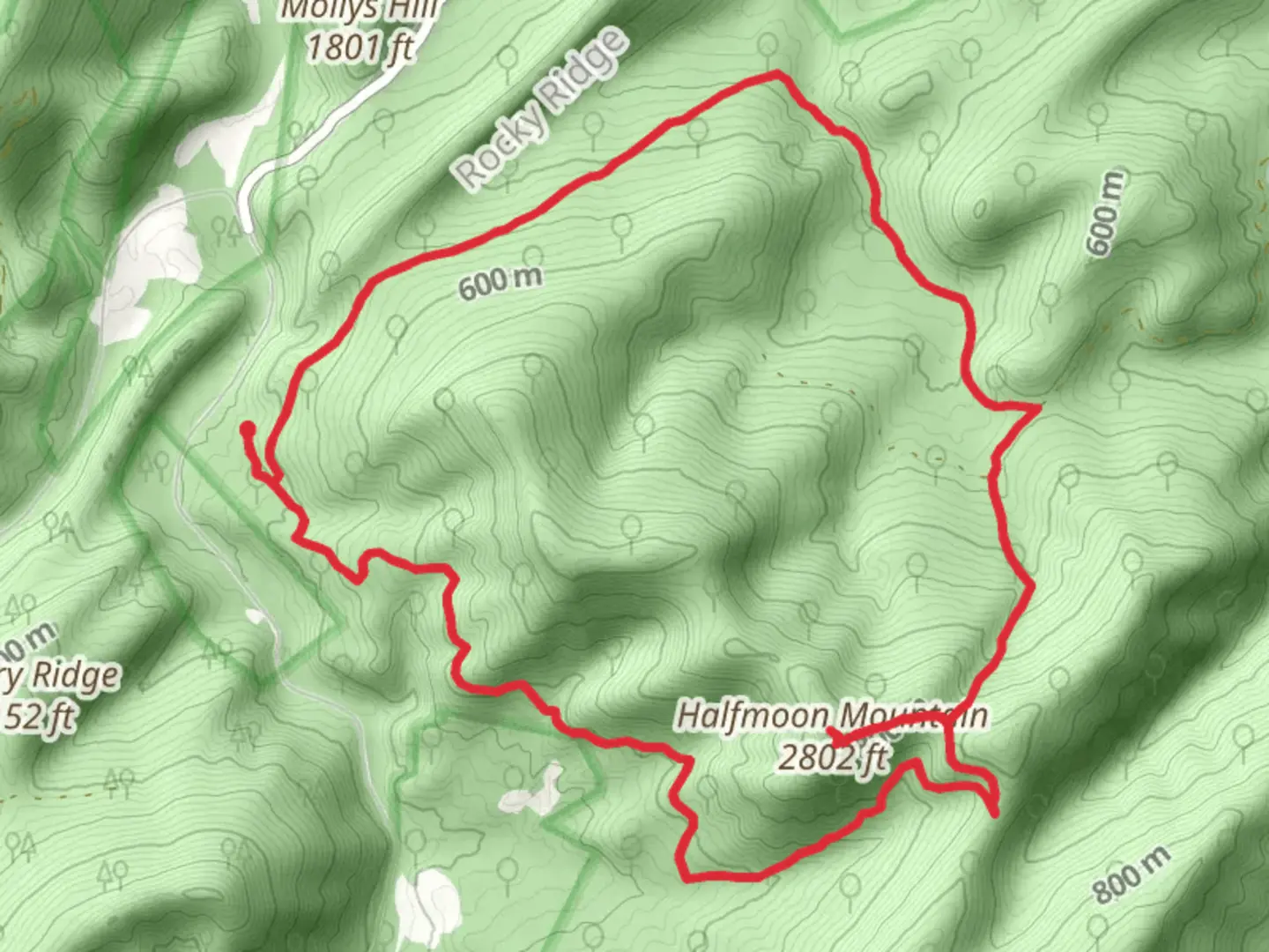 An image depicting the trail Halfmoon Mountain - Bucktail Loop Trail and its surrounding area.