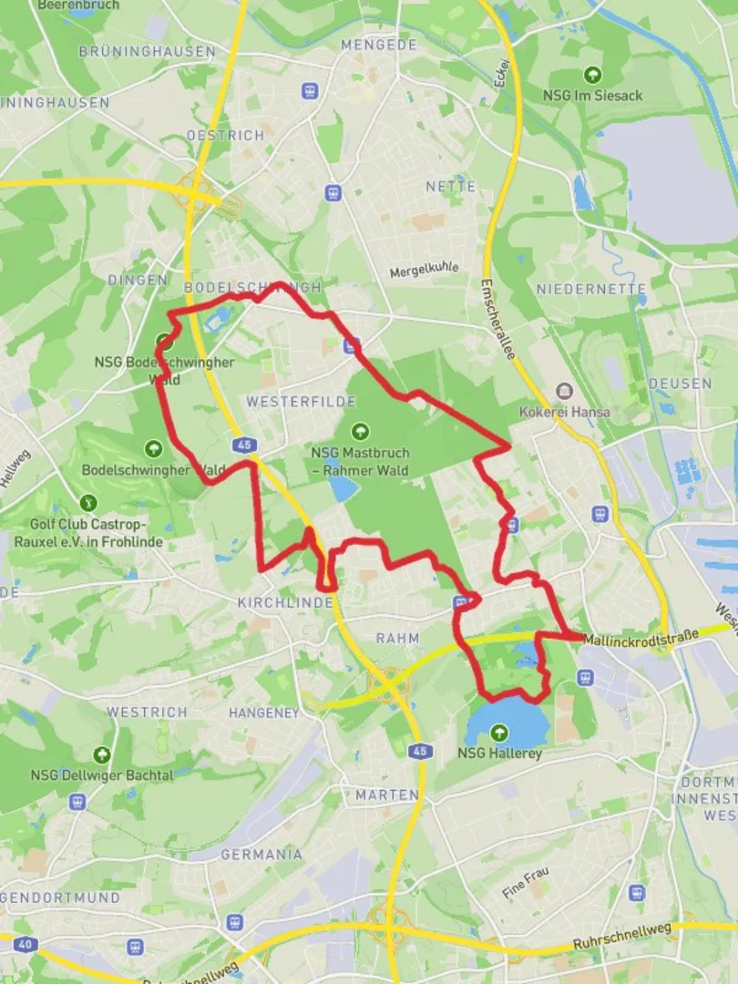 An image depicting the trail Bodelschwingh and Revierpark Wischlingen Loop and its surrounding area.