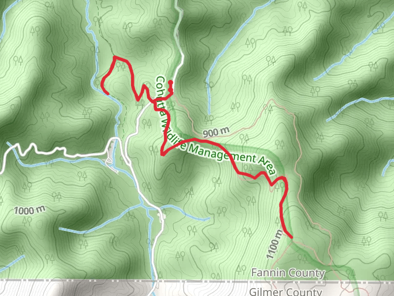 South Fork Jacks River via Benton MacKaye Trail