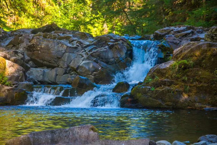 Horseshoe Falls Trail Skamania County Washington