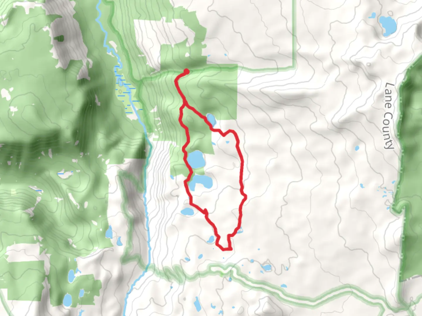 An image depicting the trail Otter Lake and Williams Lake via Erma Bell Lakes Loop Trail and its surrounding area.