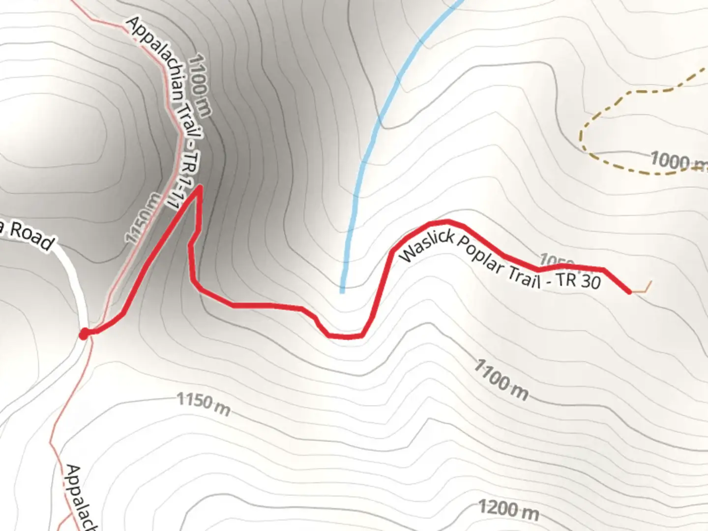 An image depicting the trail Waslick Poplar Trail and its surrounding area.