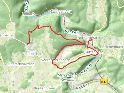 Neunkirchen to Neckargerach Walk via Minneburg