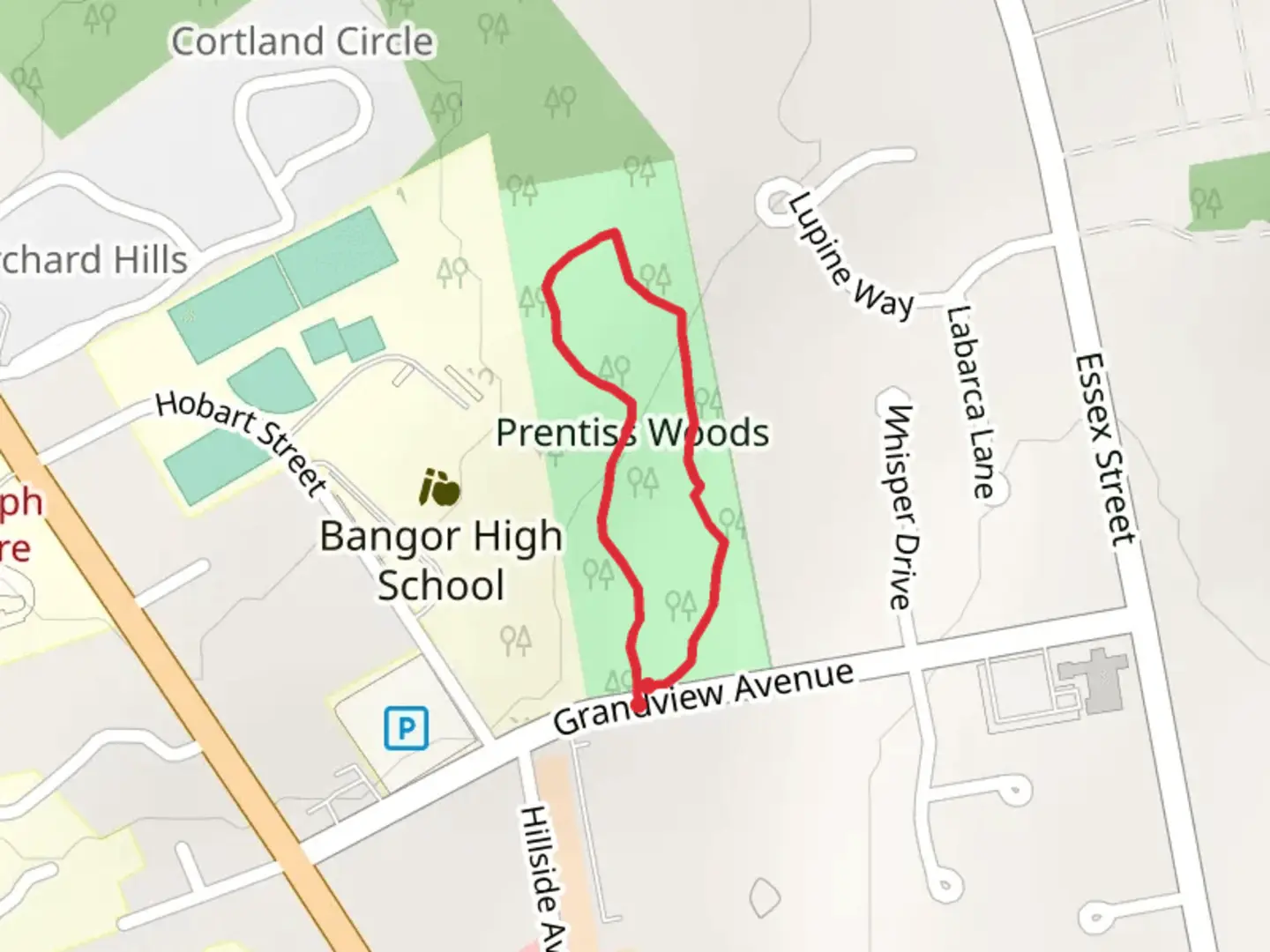An image depicting the trail Prentiss Woods Loop and its surrounding area.