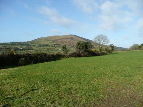 An image depicting the trail Annagh Hill - Yellow Belly Trail and its surrounding area.