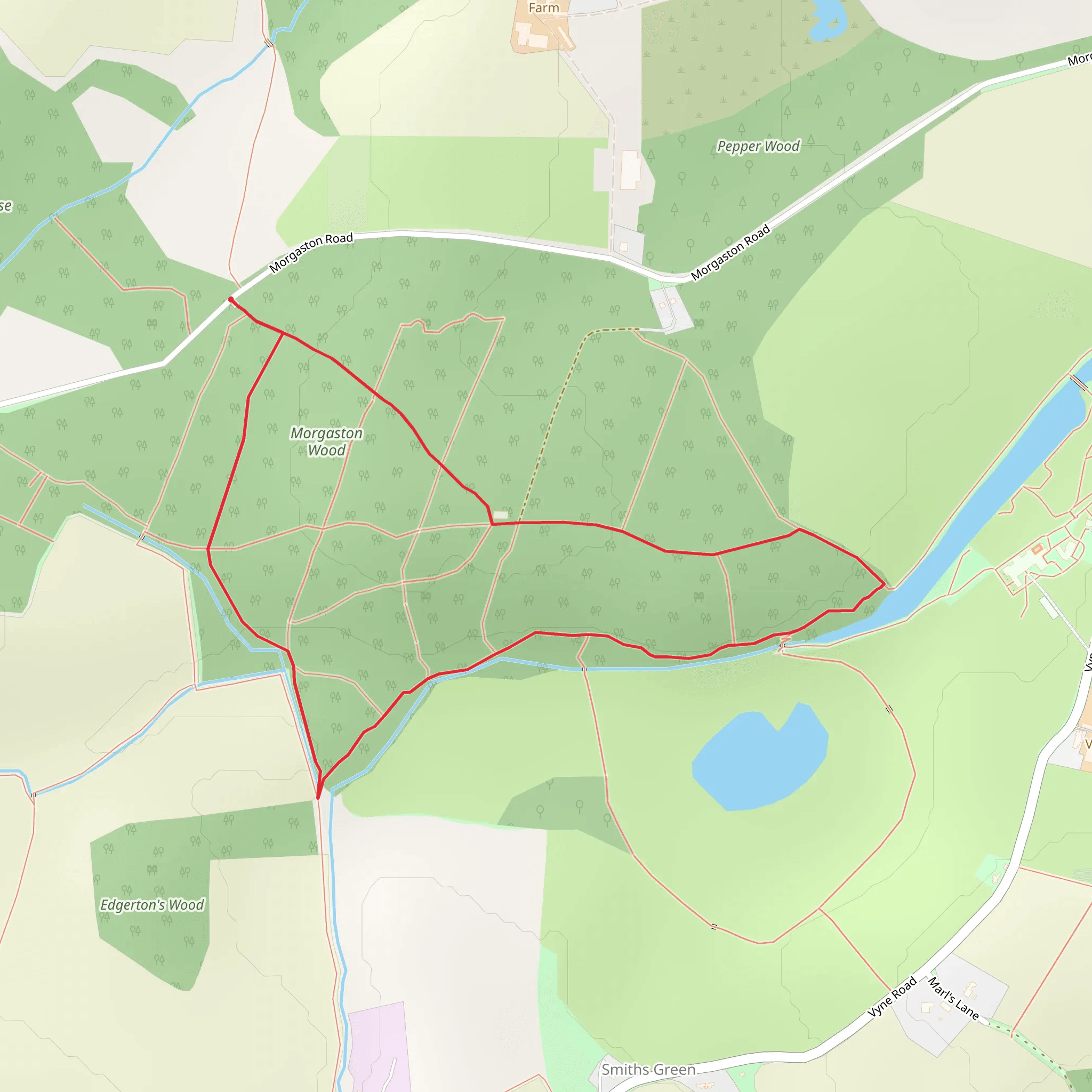 Brown and Beech Loop Walk - Morgaston Wood mobile static map