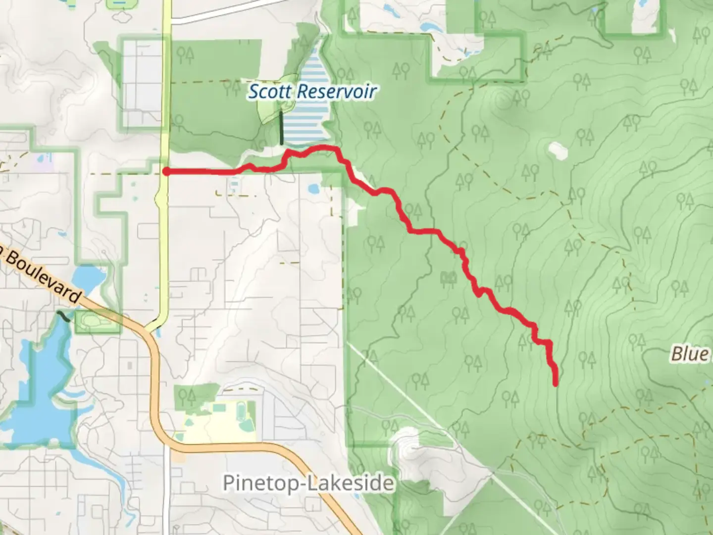 An image depicting the trail Scott Reservoir - Ice Cave Trail and its surrounding area.