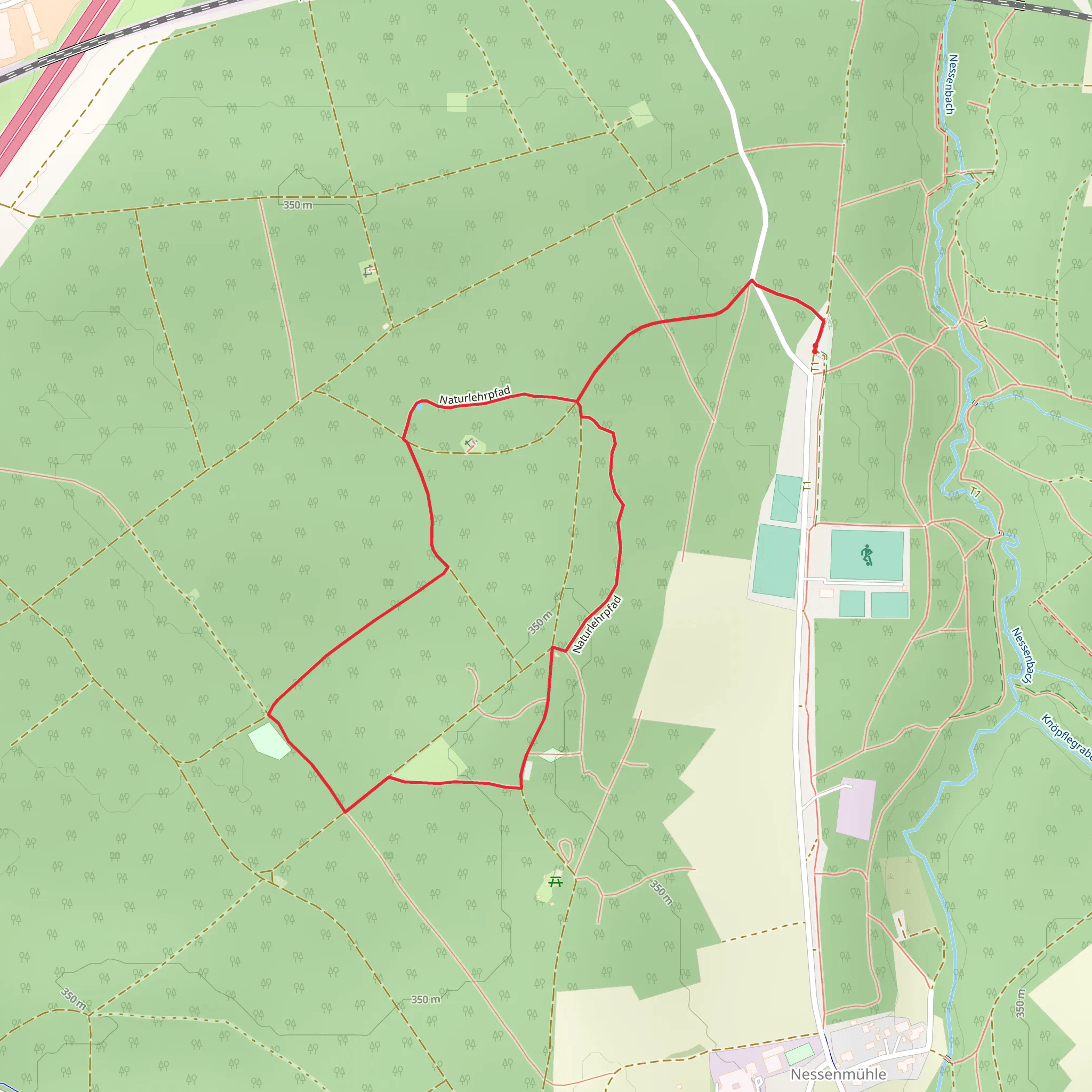 Staatsforst Short Loop via Naturlehrpfad mobile static map
