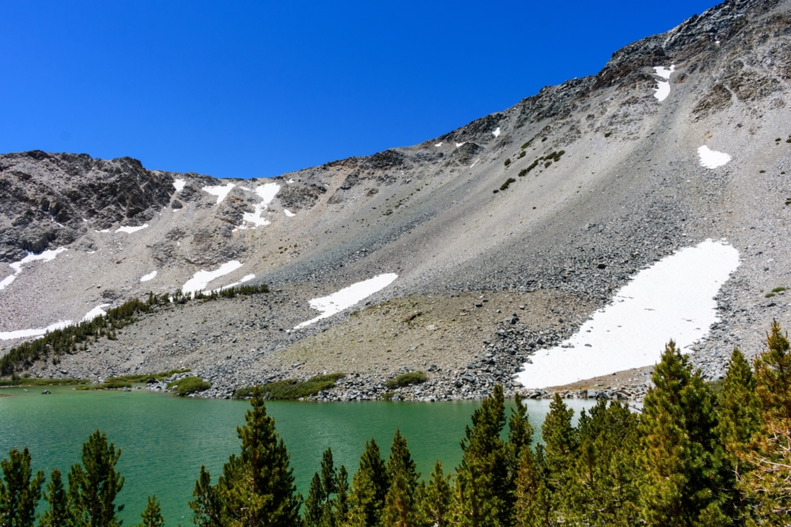 An image depicting the trail Barney Lake, Robinson Lake and Snow Lake via Robinson Creek and its surrounding area.