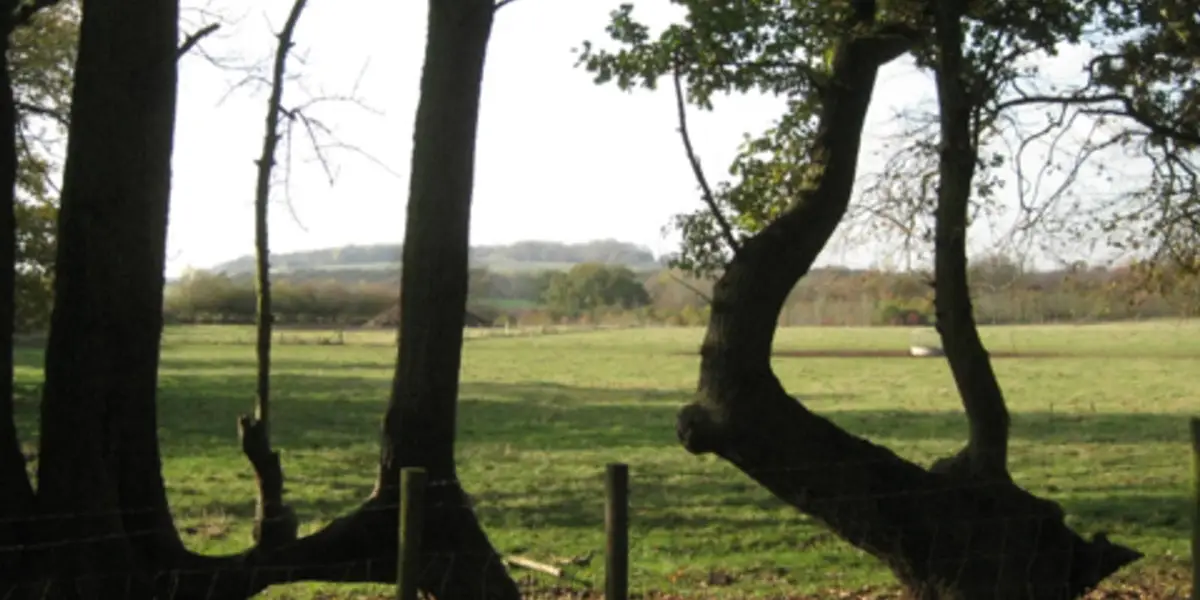 West from Henley-in-Arden