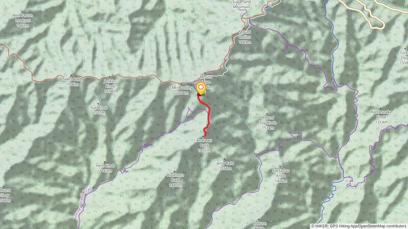 Andrews Bald via Forney Ridge Trail