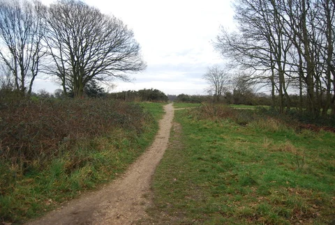 An image depicting the trail Heath Walk and its surrounding area.