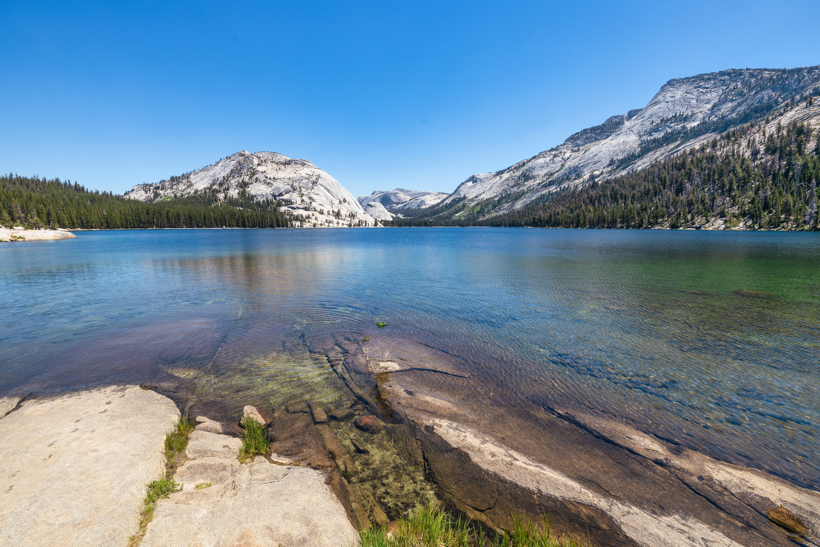 An image depicting the trail Half Dome Trail, John Muir Trail and Tenaya Lake Loop Trail and its surrounding area.