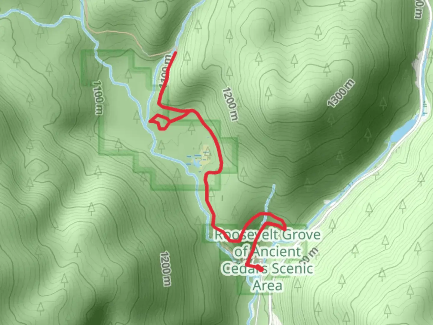 An image depicting the trail North Fork Granite Creek via Granite Roosevelt Cedar Grove Trail and its surrounding area.