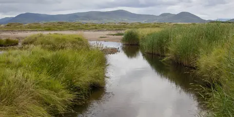 An image depicting the trail Skellig Monks Trail and its surrounding area.