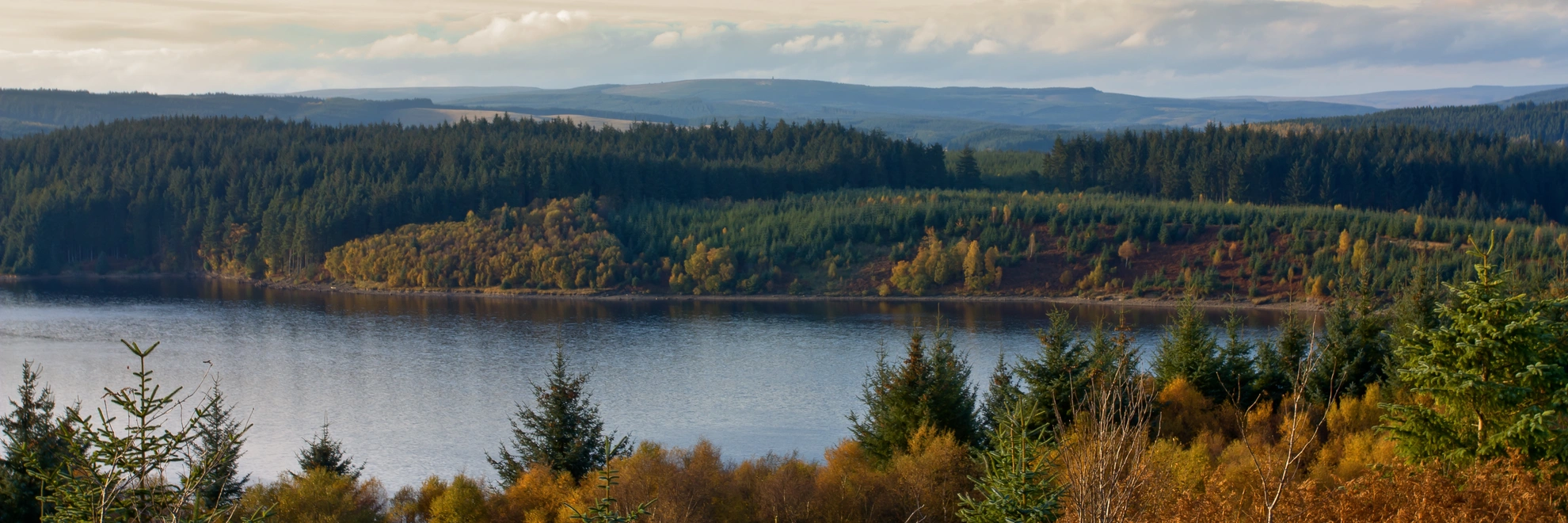 An image depicting the trail River Tyne Walk - North and its surrounding area.