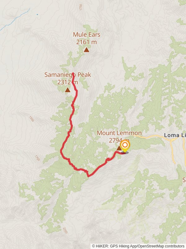 Samaniego Ridge from East Ski Run Road