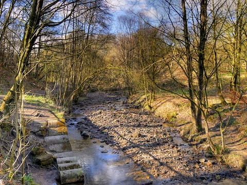 Victoria Lake and GM Ringway