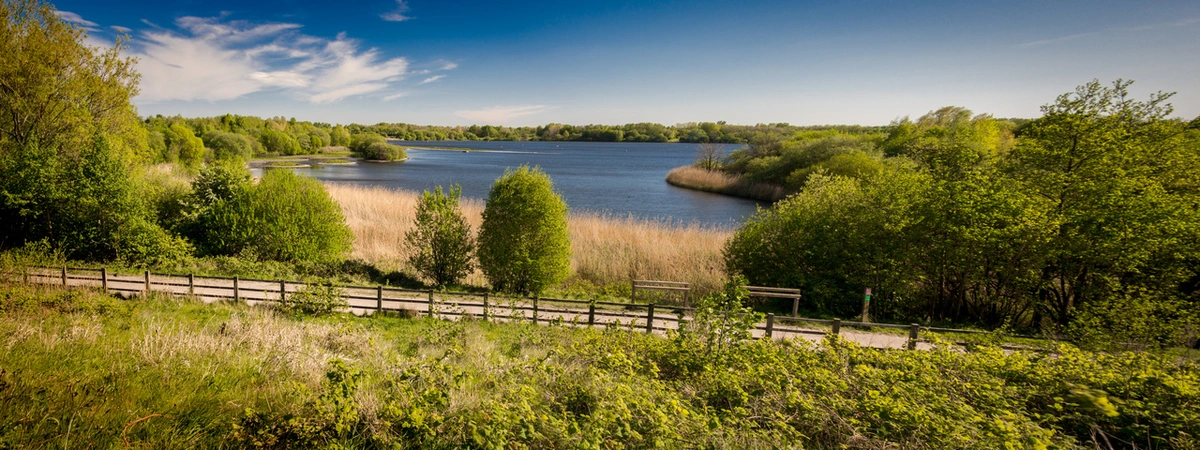 Glazebrook Timberland Trail