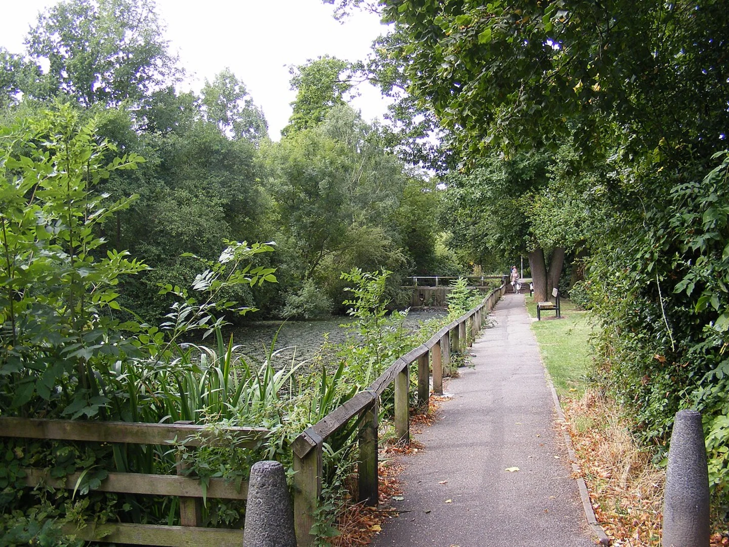 An image depicting the trail Galleywood Country Park Loop and its surrounding area.