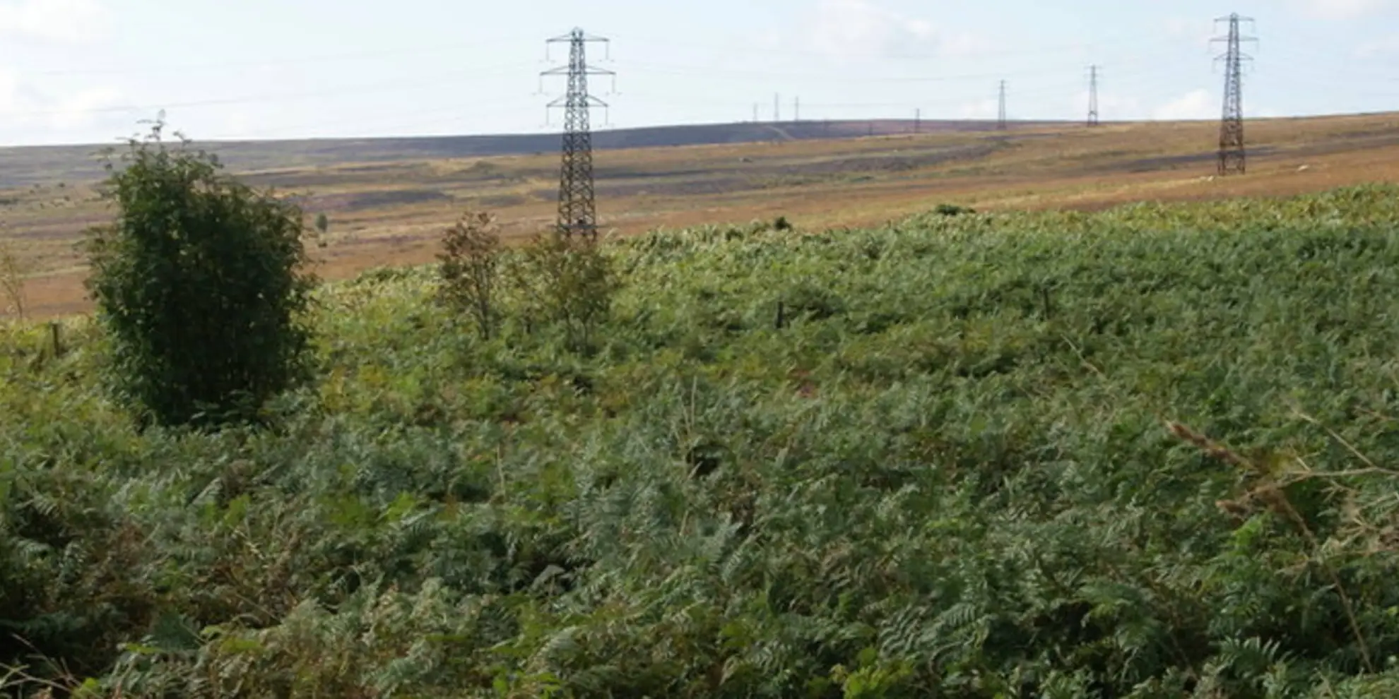 An image depicting the trail Blue Bank and Sleights Moor and its surrounding area.