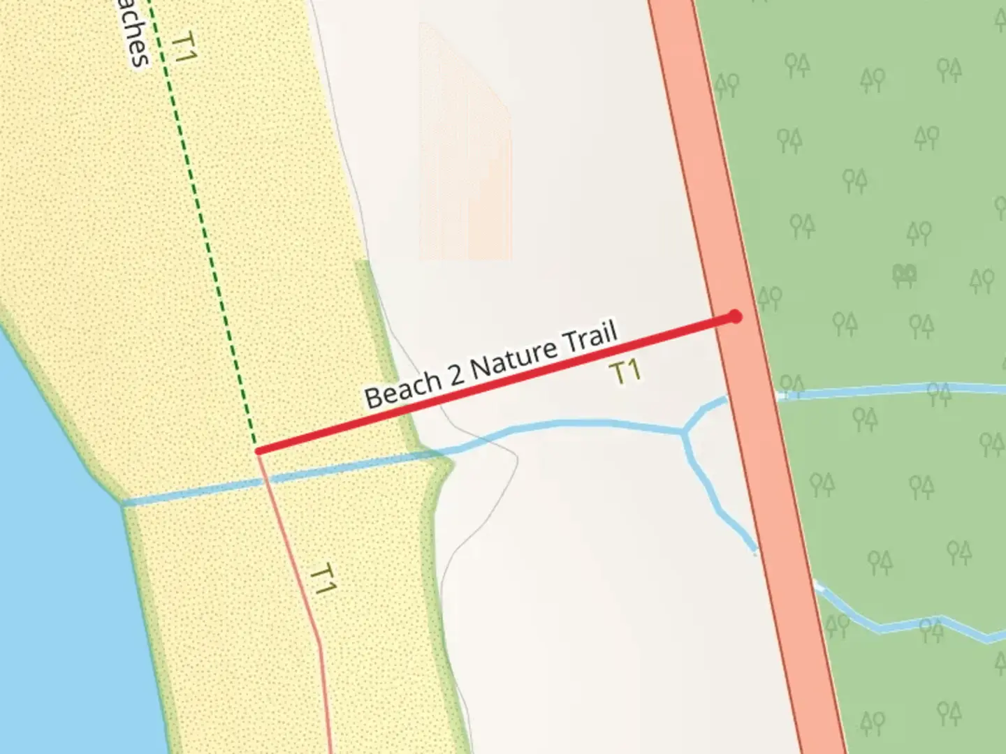 An image depicting the trail Beach 2 Nature Trail and its surrounding area.