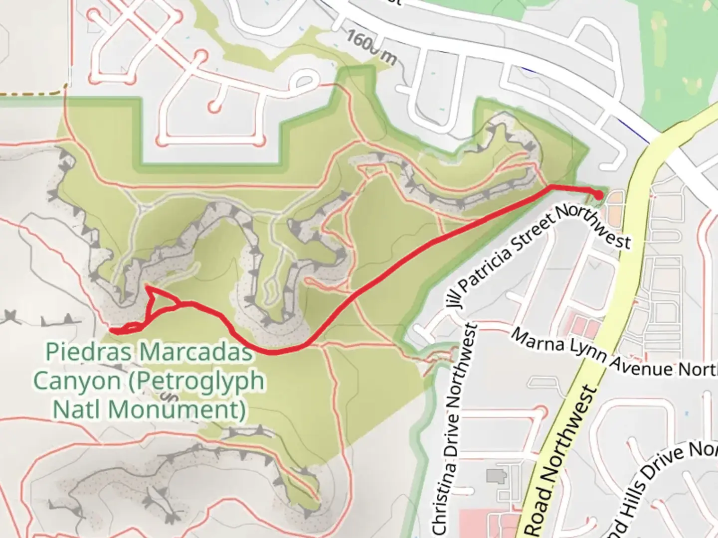An image depicting the trail Piedras Marcadas Trail Out and Back and its surrounding area.
