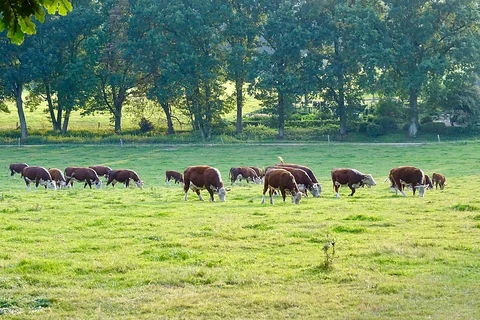 De Hangmat, Potjesberg and Landgoed Heuvan Loop